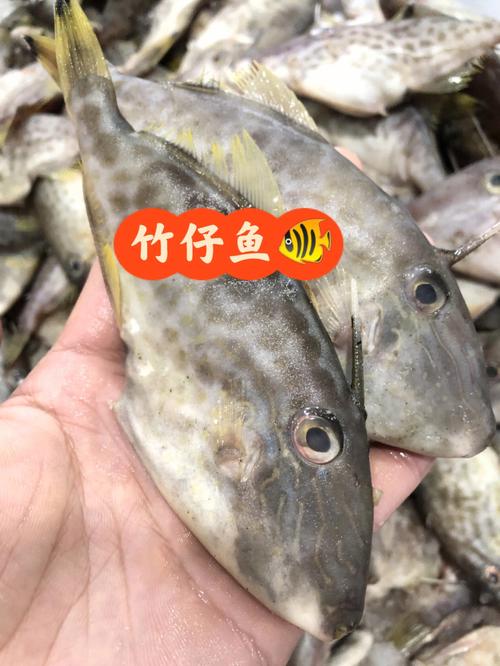 七个月国内代孕宝宝吃什么鱼