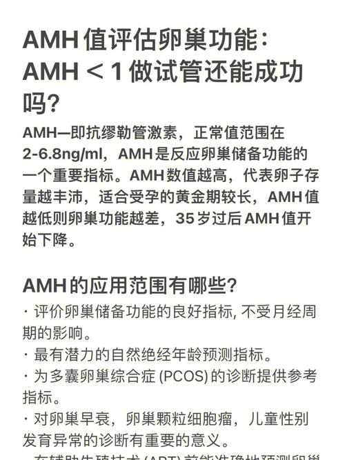 美国的试管成功率如何