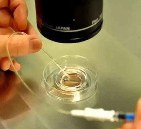 在美国做一个试管要多少钱